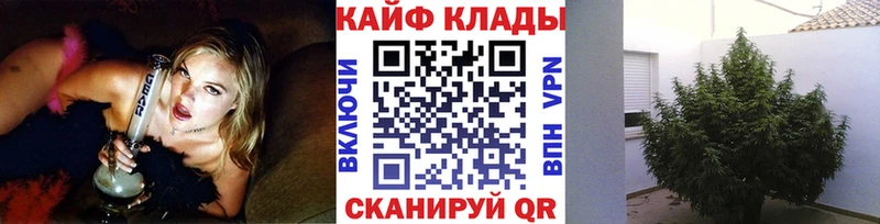 Продажа наркотиков Рыбное Конопля Псилоцибиновые грибы Гашиш Альфа ПВП Мефедрон КОКАИН