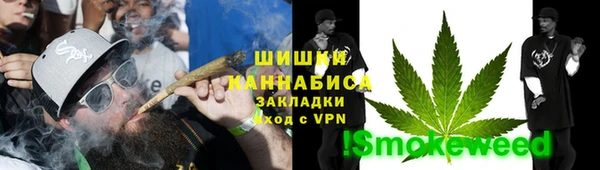 прущий лед Алзамай