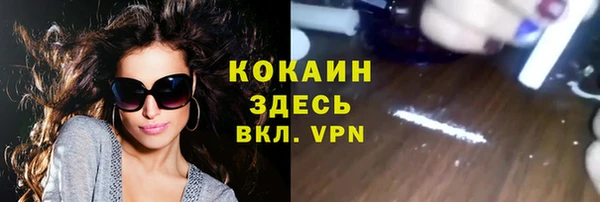 бошки Алексин