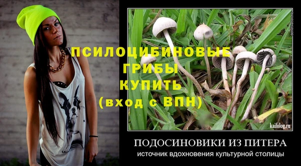 индика Болотное