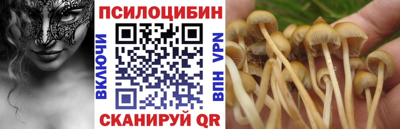 купить наркотик  Рыбное  Галлюциногенные грибы прущие грибы 