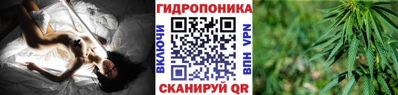 Бошки Шишки VHQ  Рыбное 